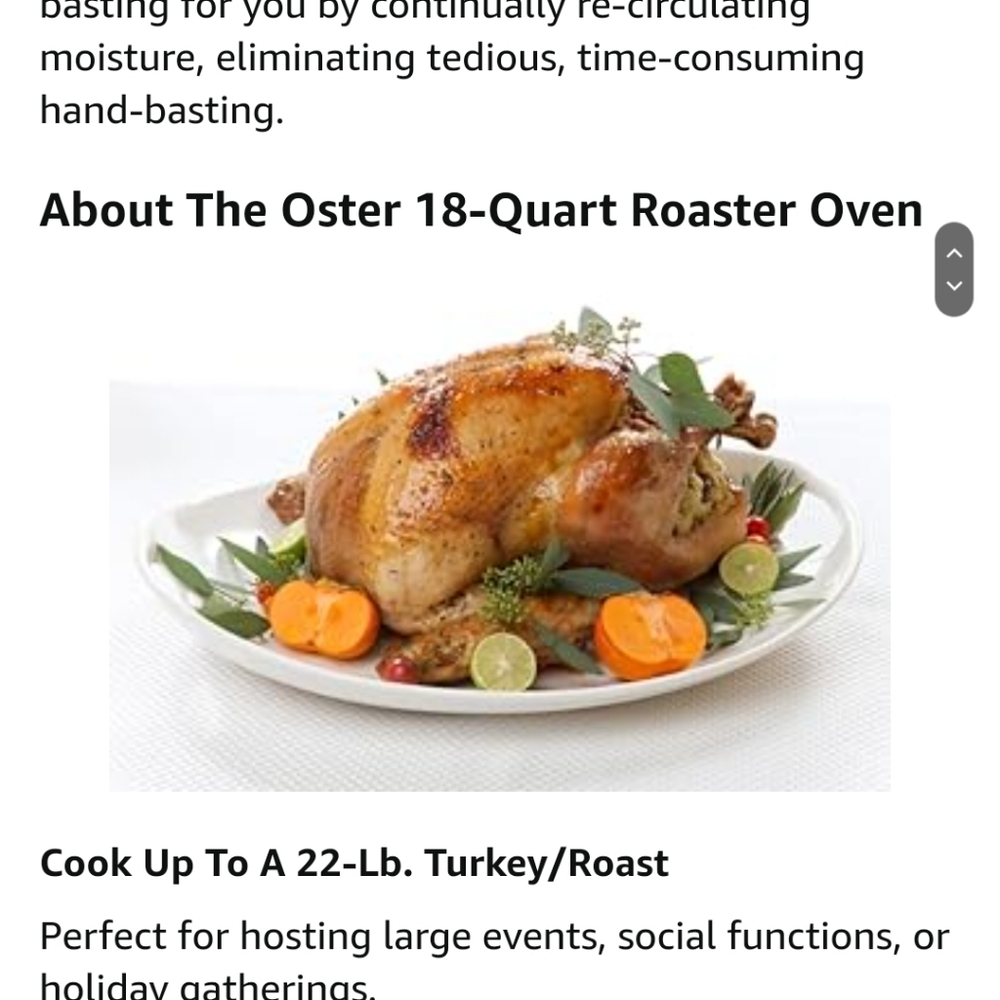 Oster - Picture 12 of 12
